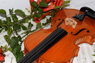 Violin Love Suite Vol. 2 with Trumpt Flowers